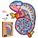 Puzzler DŘEVĚNÉ BAREVNÉ PUZZLE - Hypnotický chameleon