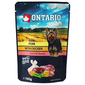 Kapsička ONTARIO bravčové s kuracím vo vývare 100 g