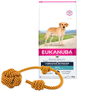 Euk Labrador Retriever 12kg + Lanová hračka Tamer ZADARMO