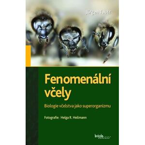 Fenomenální včely - Biologie včelstva jako superorganizmu