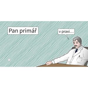 Pan primář v praxi...