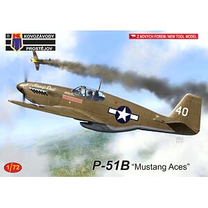 P-51B Mustang Aces