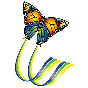 Drak BUTTERFLY