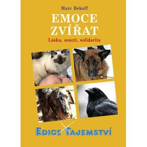 Emoce zvířat