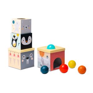 Taf Toys Sada kostek a míčků Severní pól