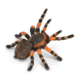 COLLECTA Tarantule