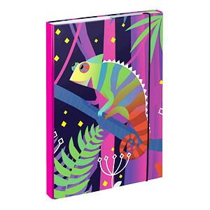 BAAGL Dosky na školské zošity A4 Chameleon