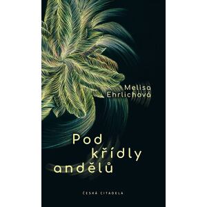 Pod křídly andělů