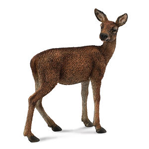 laň