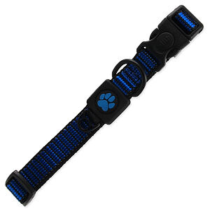 Obojok ACTIVE DOG Strong modrý M 1 ks