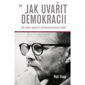Jak uvařit demokracii - Od vládní agonie k polokomunistické vládě