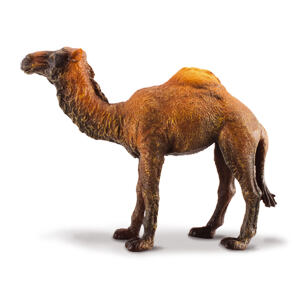 COLLECTA Dromedár