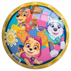 John Míč Paw Patrol 22 cm