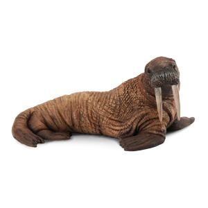 COLLECTA Mrož lední