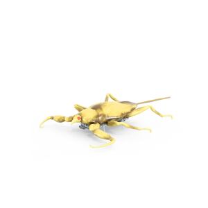 HEXBUG Real Bugs - Vodný škorpión