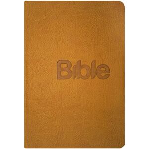 Bible, překlad 21. století (Gold kůže)