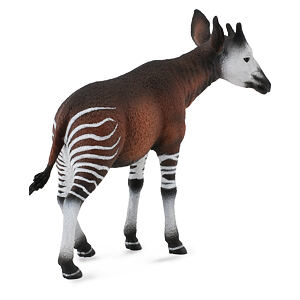 Collecka Okapi