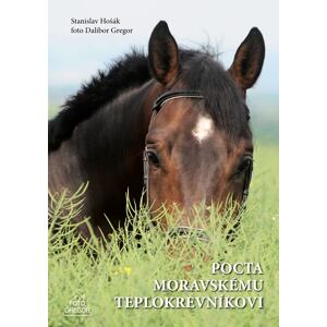 Pocta moravskému teplokrevníkovi