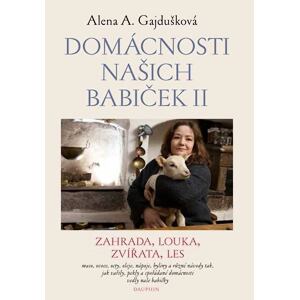 Domácnosti našich babiček II.