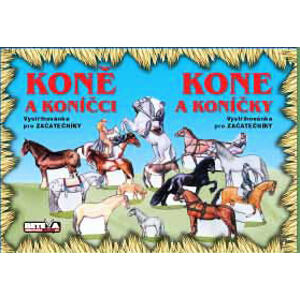 Betexa Koně a koníčci