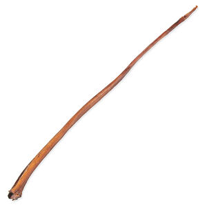 Penis TRIXIE Dog sušený 70-80 cm 1 ks