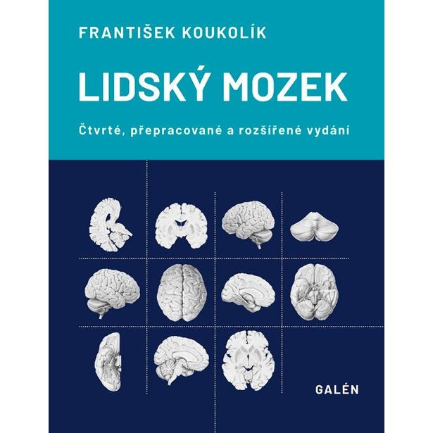 Lidský mozek