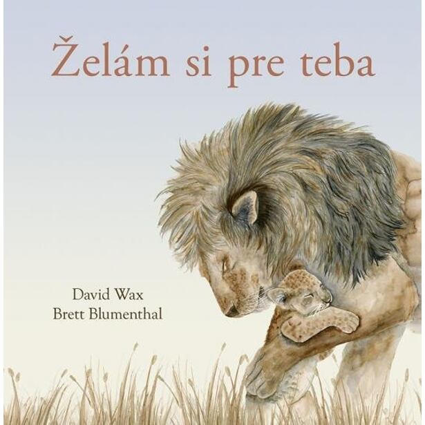 Želám si pre teba (slovensky)