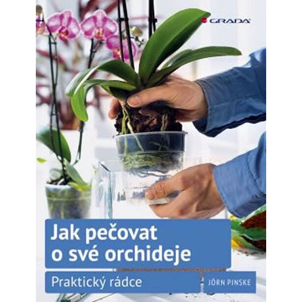 Jak pečovat o své orchideje - Praktický rádce