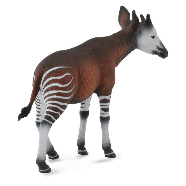 Collecka Okapi