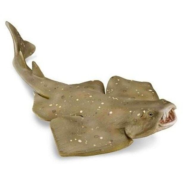 COLLECTA Polorejnok krídlový