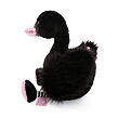 NICI plyš Love Čierna labuť 35cm