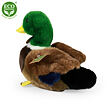 Rappa Plyšová kačica 20 cm ECO-FRIENDLY