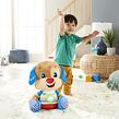 FISHER PRICE  VELKÝ PEJSEK CZ