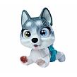Psík Husky Pamper Petz vaňa